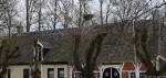 Havezathe Het Everloo